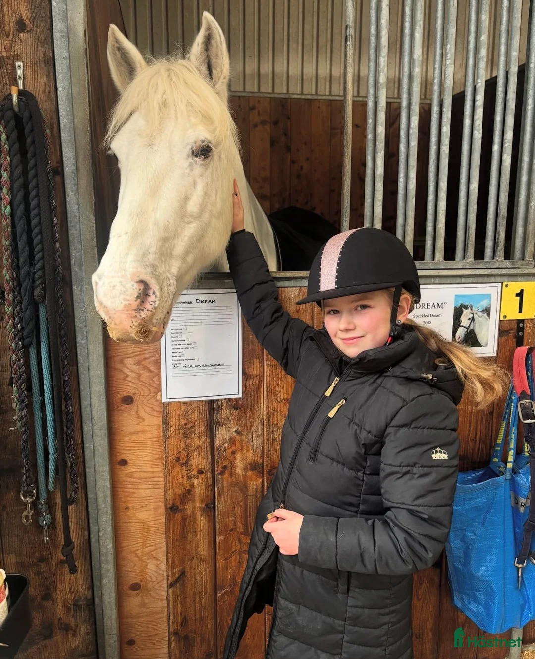  foderhäst sökes: Sommarponny sökes ♥️ i Kungsbacka - Annons 3