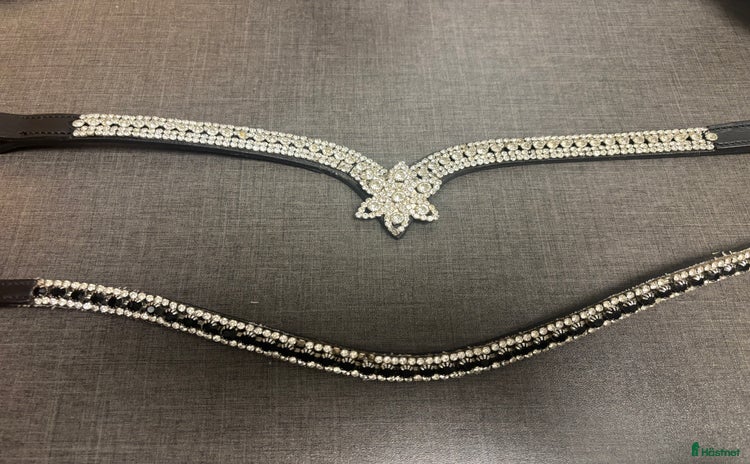 Övrig Hästutrustning hästutrustning till salu i Landskrona - Annons 19