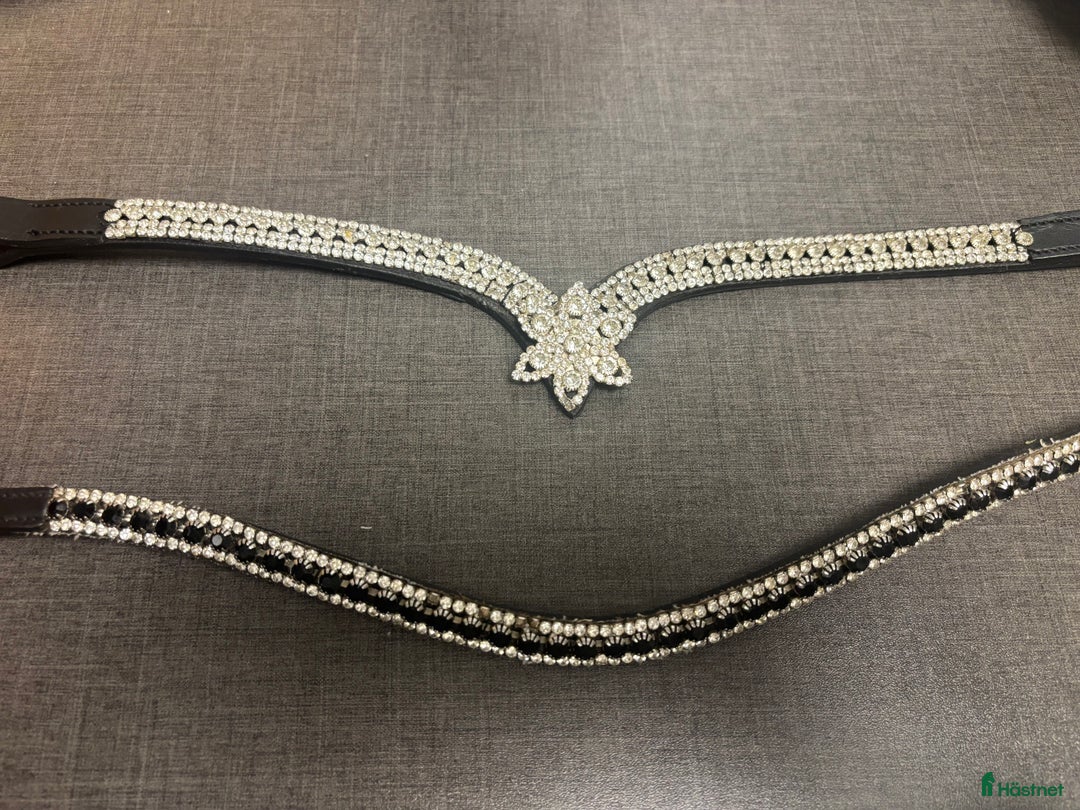 Övrig Hästutrustning hästutrustning till salu: Pannband i Landskrona - Annons 1