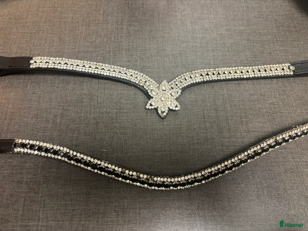 Övrig Hästutrustning hästutrustning till salu: Pannband i Landskrona - Annons 1