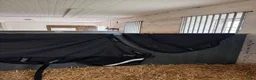 Täcken hästutrustning till salu: Horseware utetäcken - Annons 1