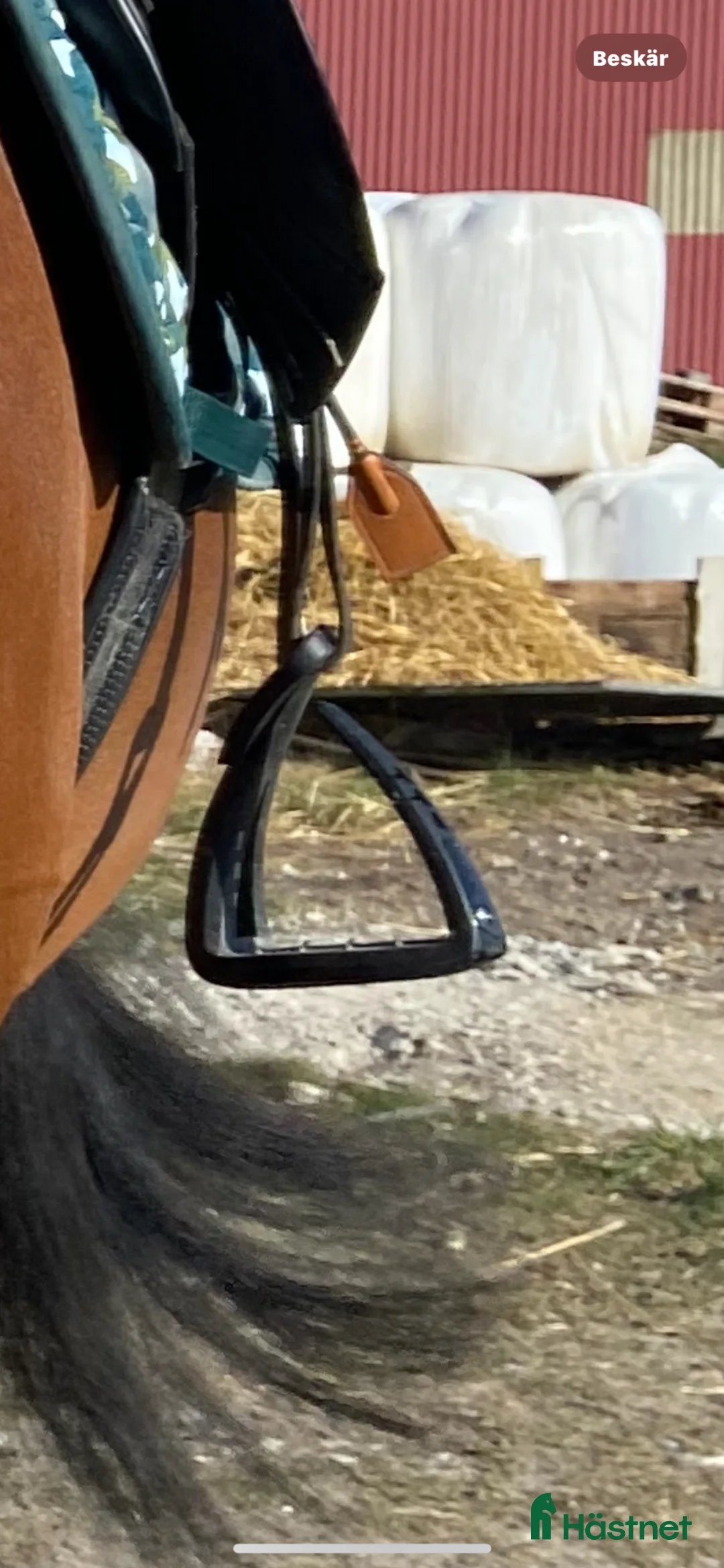 Övrig Hästutrustning hästutrustning till salu: Hästsaker till salu i Trelleborg - Annons 2