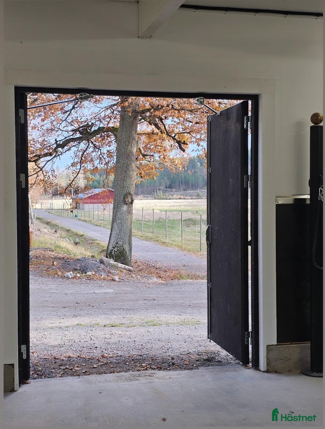  stallplats finnes: Johannesdal Hästcenter i Norrköping - Annons 2