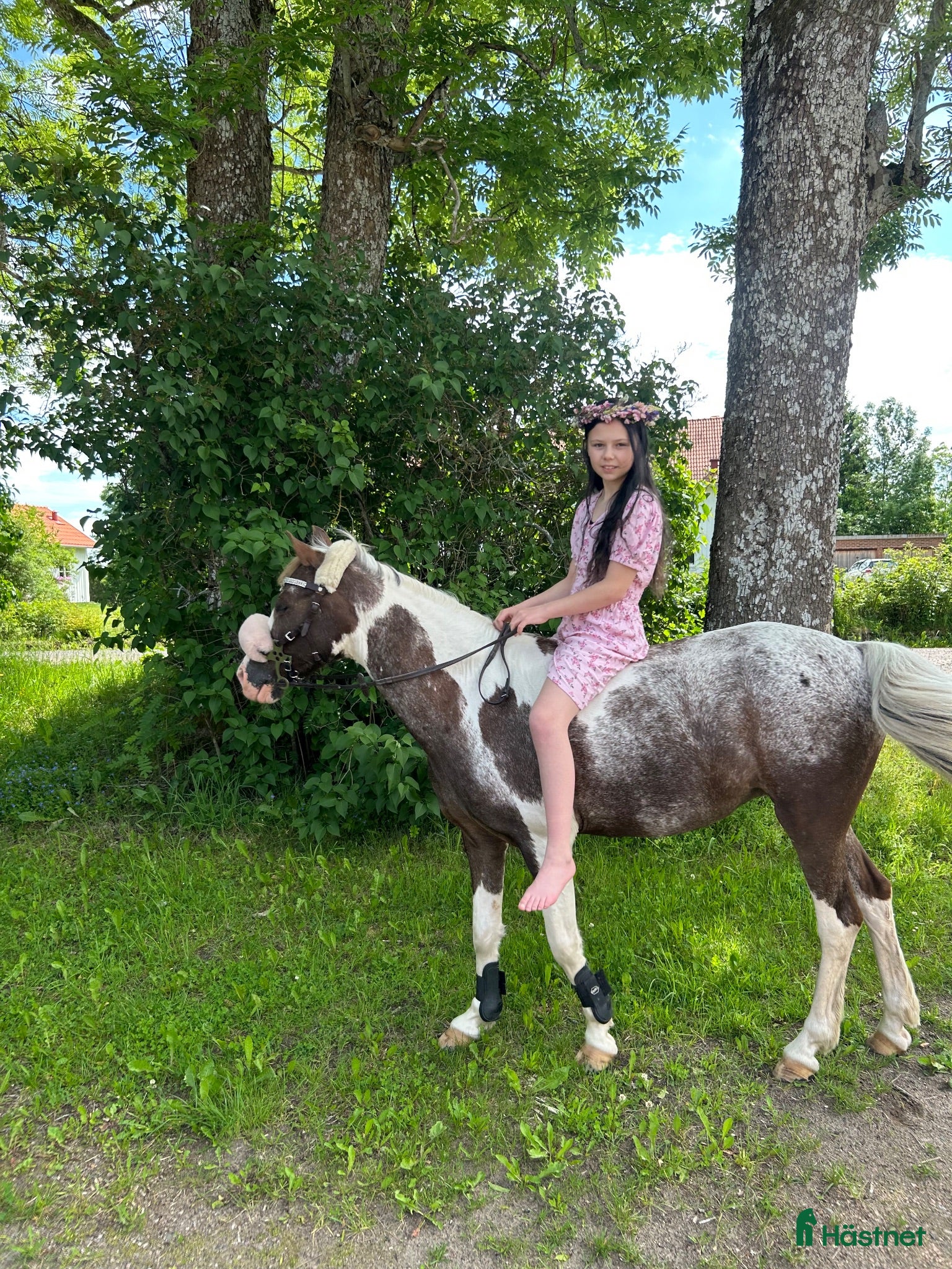  hästar Underbar B ponny 💕 - Annons 10