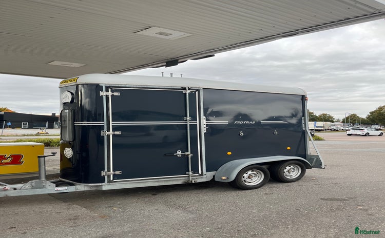 Hästtransporter  fordon & transport till salu i Enebyberg - Annons 19