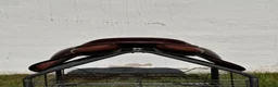 Sadlar hästutrustning till salu: ErgoX2 Courage 17" Wide – Ergonomisk hoppsadel - Annons 4