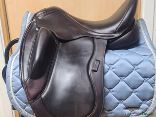 Sadlar hästutrustning till salu: Colberth Brothers Flo i Hamneda - Annons 21