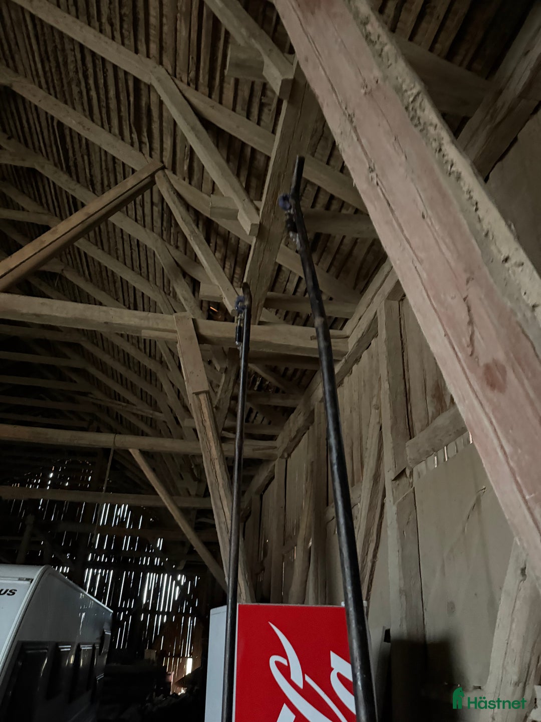 Körvagnar körning till salu: Rockard QH och rem i Tystberga - Annons 5