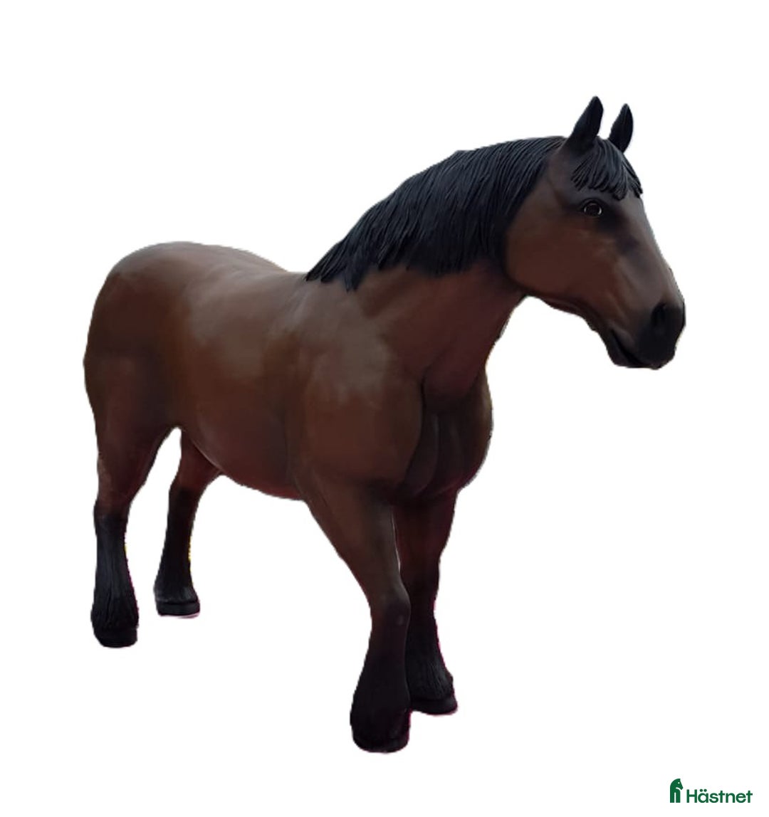 Hästinspirerad heminredning övrig utrustning till salu: Unika glasfiberhästar i naturlig storlek i Luleå - Annons 11