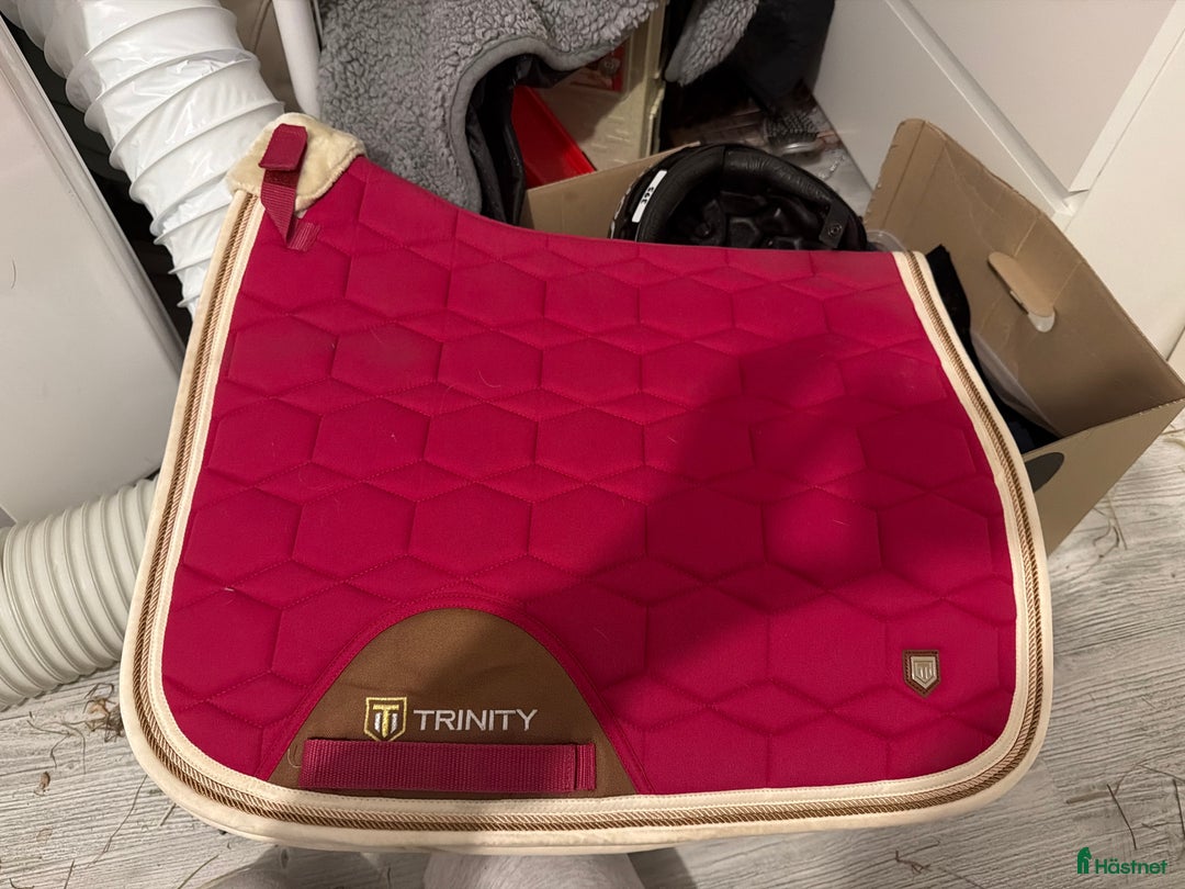 Schabrak & Vojlockar hästutrustning till salu: Dressyr schabrak Cob i Västerås - Annons 1