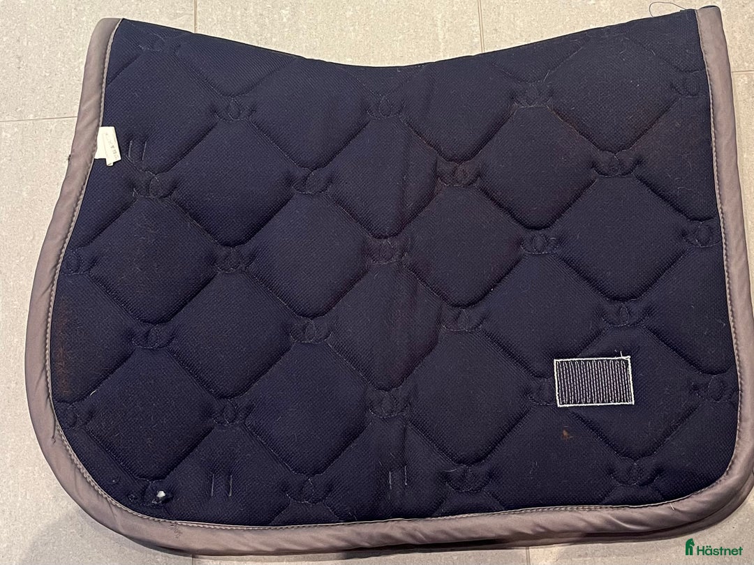 Schabrak & Vojlockar hästutrustning till salu: Schabrak ES i Dalby - Annons 2