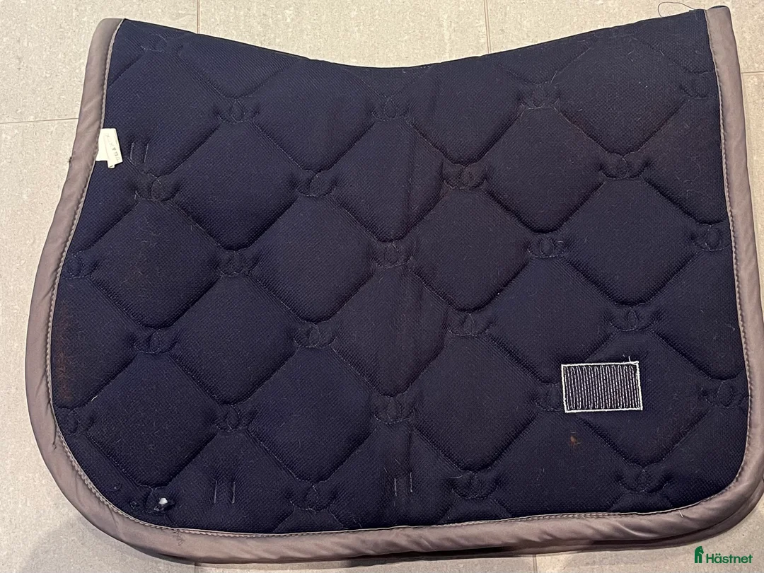 Schabrak & Vojlockar hästutrustning till salu: Schabrak ES i Dalby - Annons 2