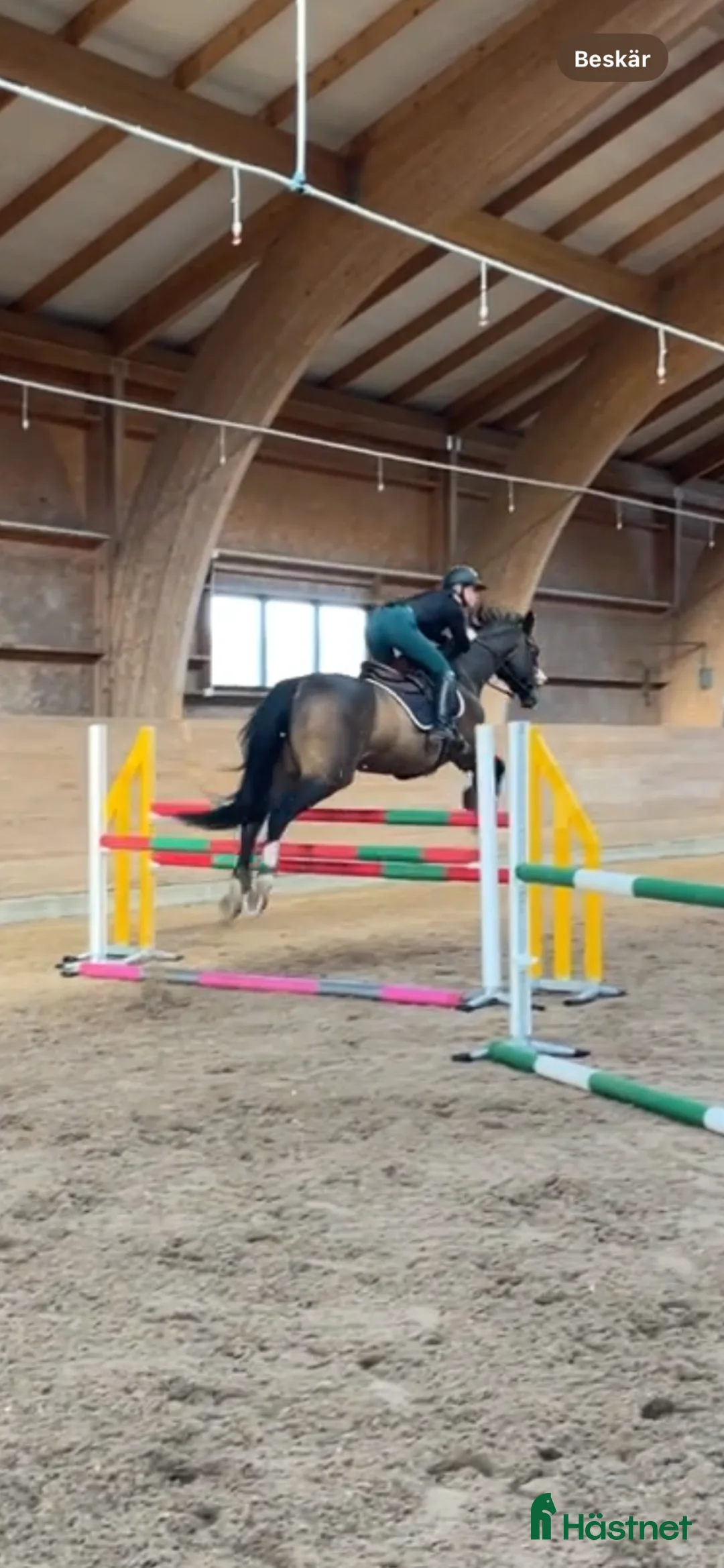  hästservice finnes: Tillridning/sommarhjälp/bete/tävling mm i Sollentuna - Annons 2