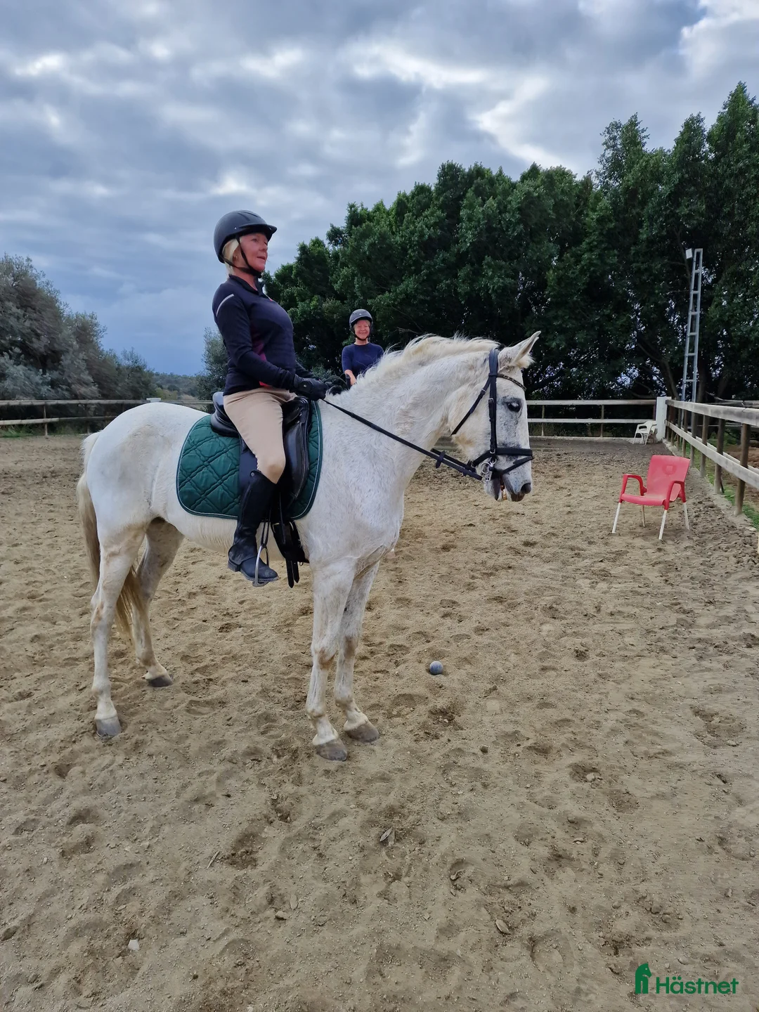 Övrigt hästar till salu: Trevliga hästar till salu i Spanien  i Mijas - Annons 9