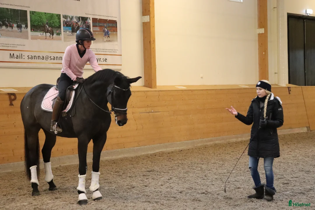  hästservice finnes: Ride and Dine kurs på Sanna Nilsson Dressyrcenter i Stora Sundby - Annons 6