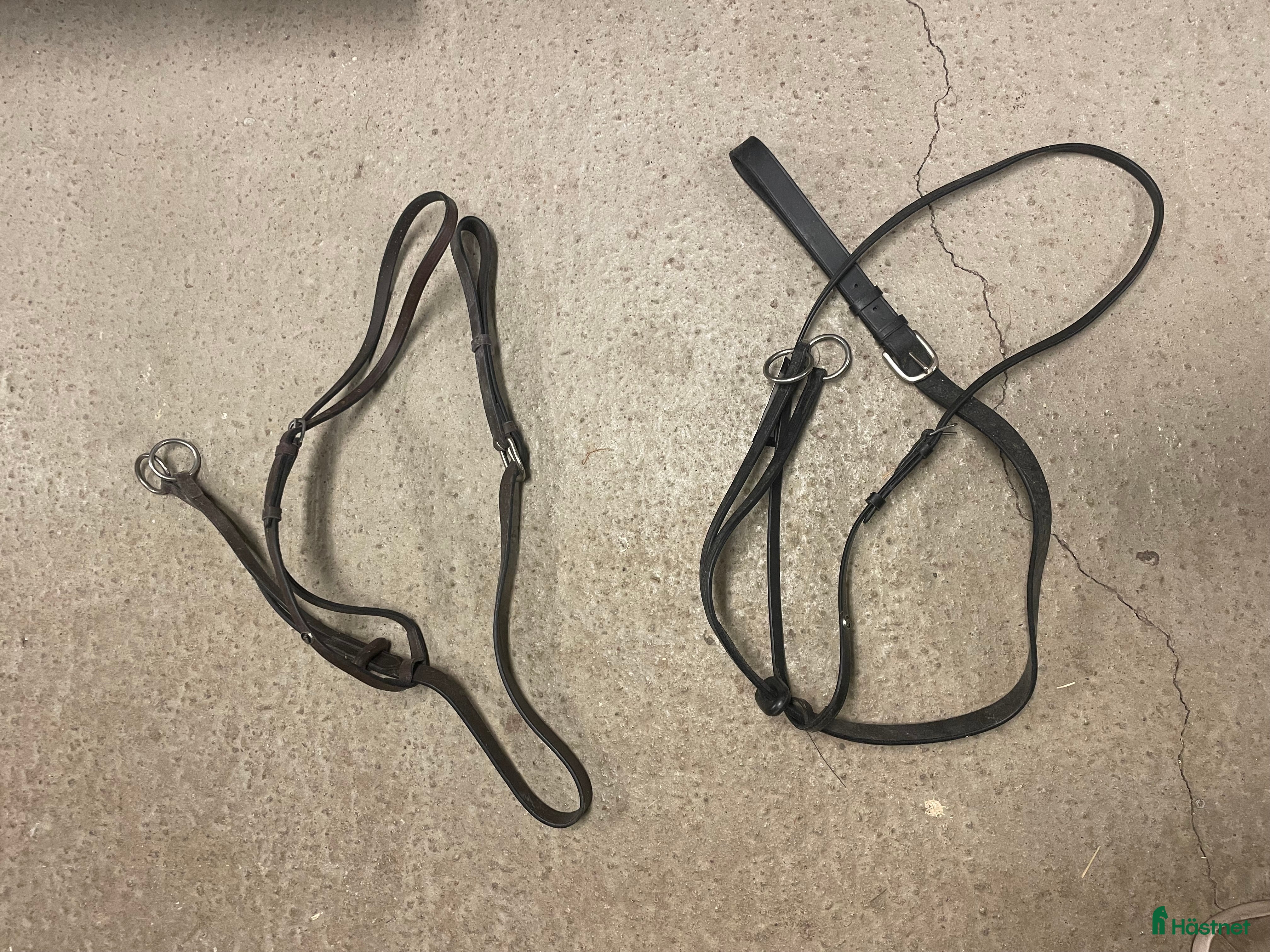 Övrig Hästutrustning hästutrustning till salu: Nya marginal, flera storlekar  i Vallberga - Annons 4