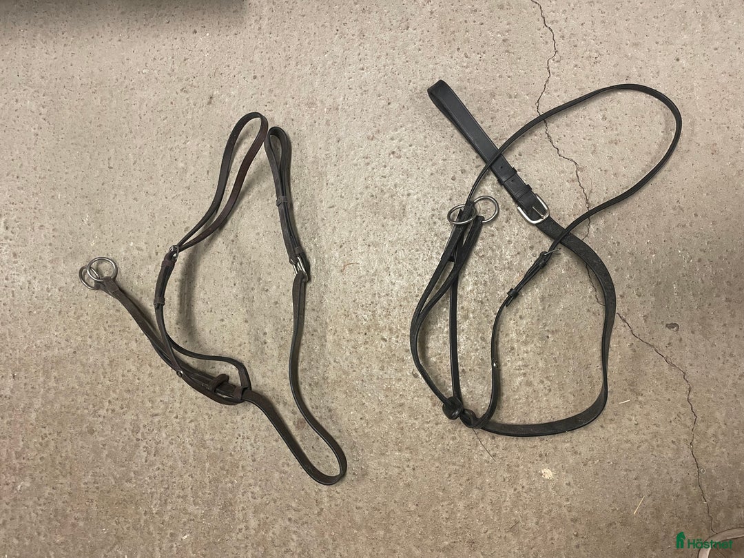 Övrig Hästutrustning hästutrustning till salu: Nya marginal, flera storlekar  i Vallberga - Annons 1