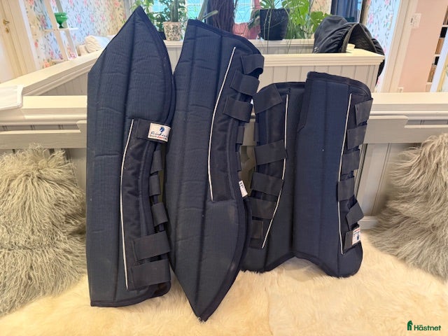 Benskydd hästutrustning till salu: Transportskydd - Annons 3