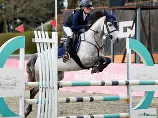 hästar Min bedste ven kan blive din - Annons 10