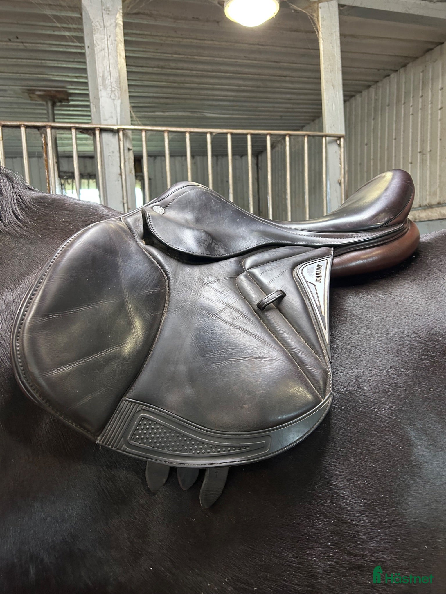 Sadlar hästutrustning Equiline closer - Annons 4