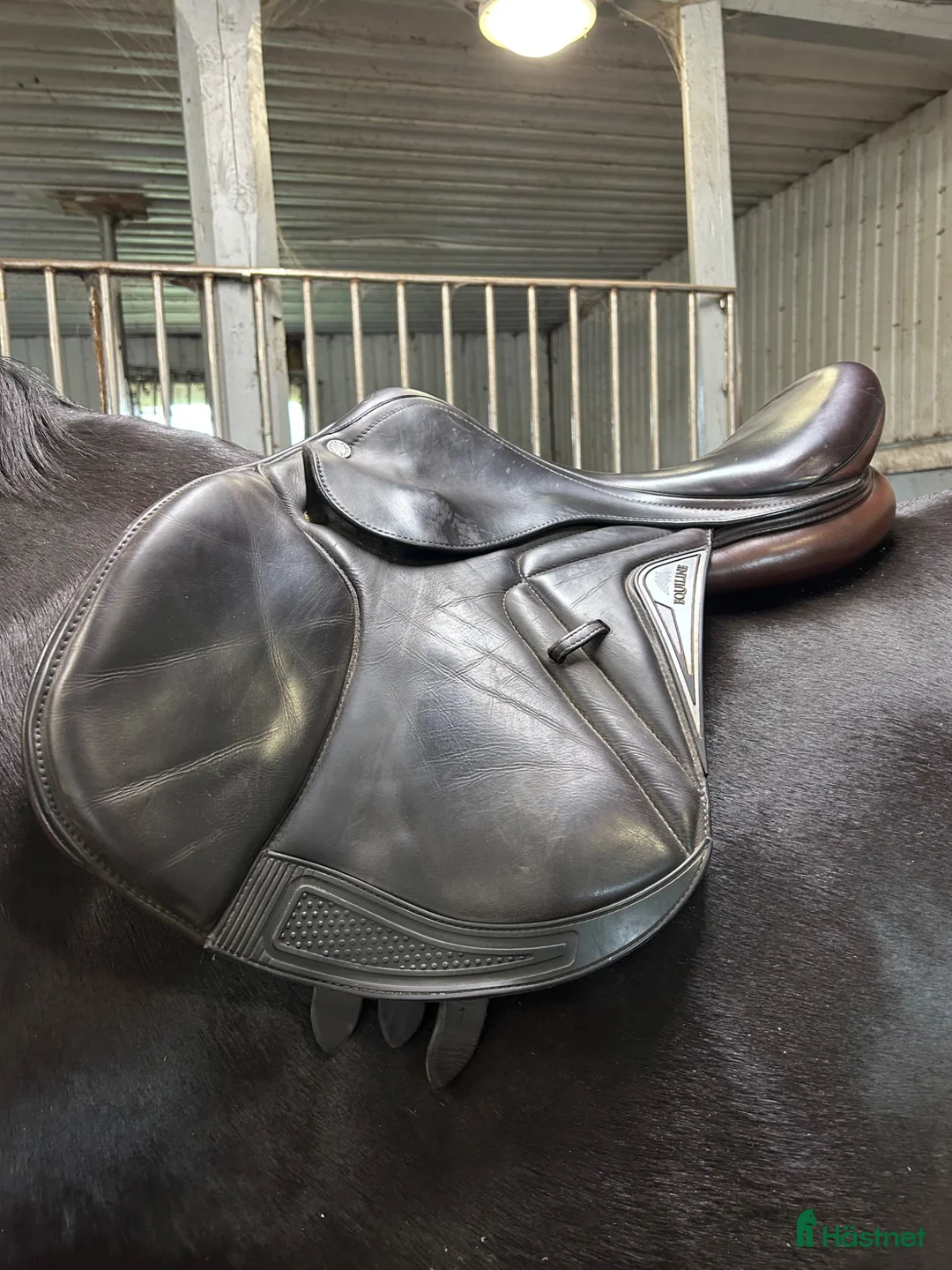 Sadlar hästutrustning till salu: Equiline closer - Annons 1