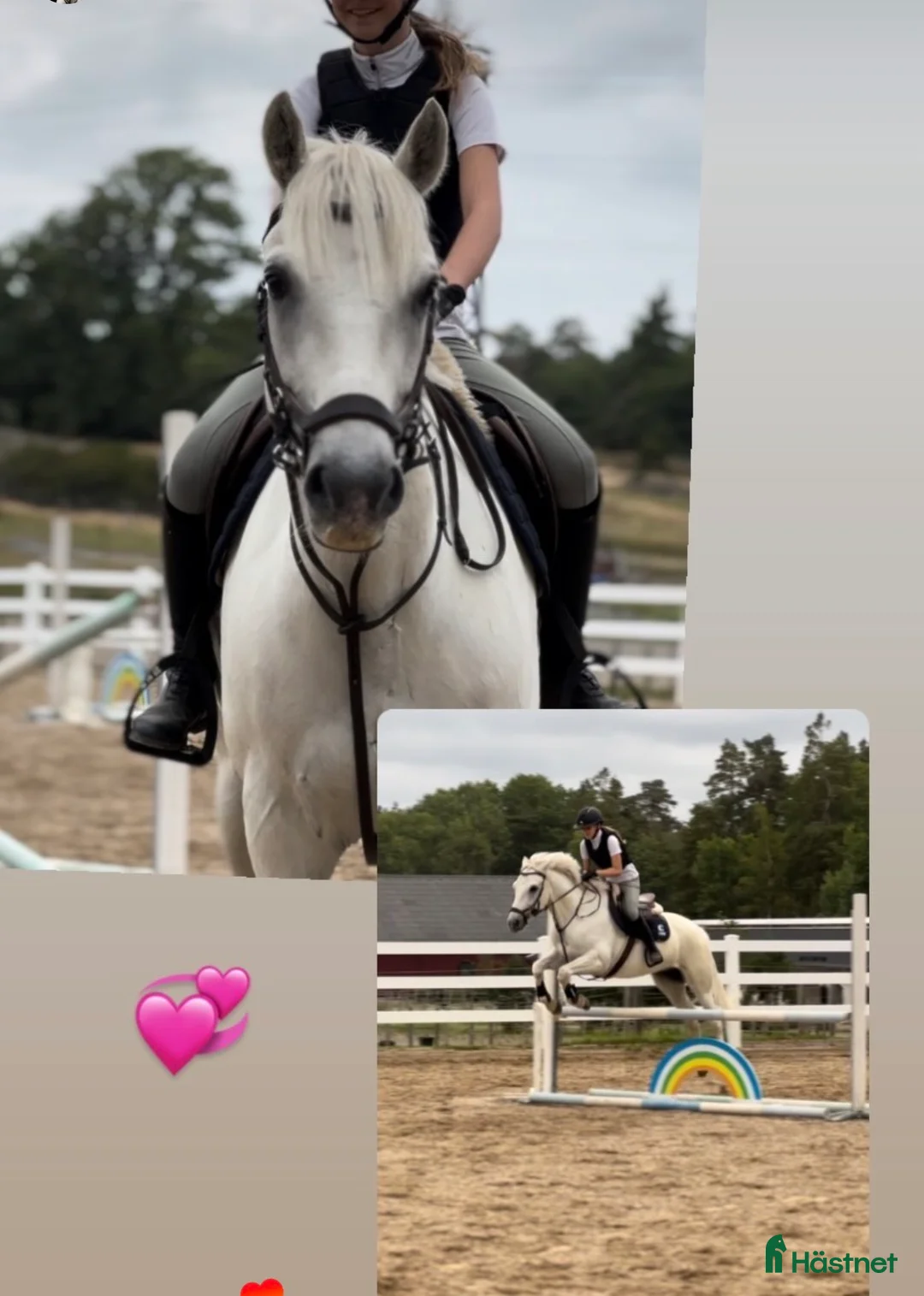  foderhäst sökes: Söker foderhäst eller medryttare i Ingarö - Annons 1