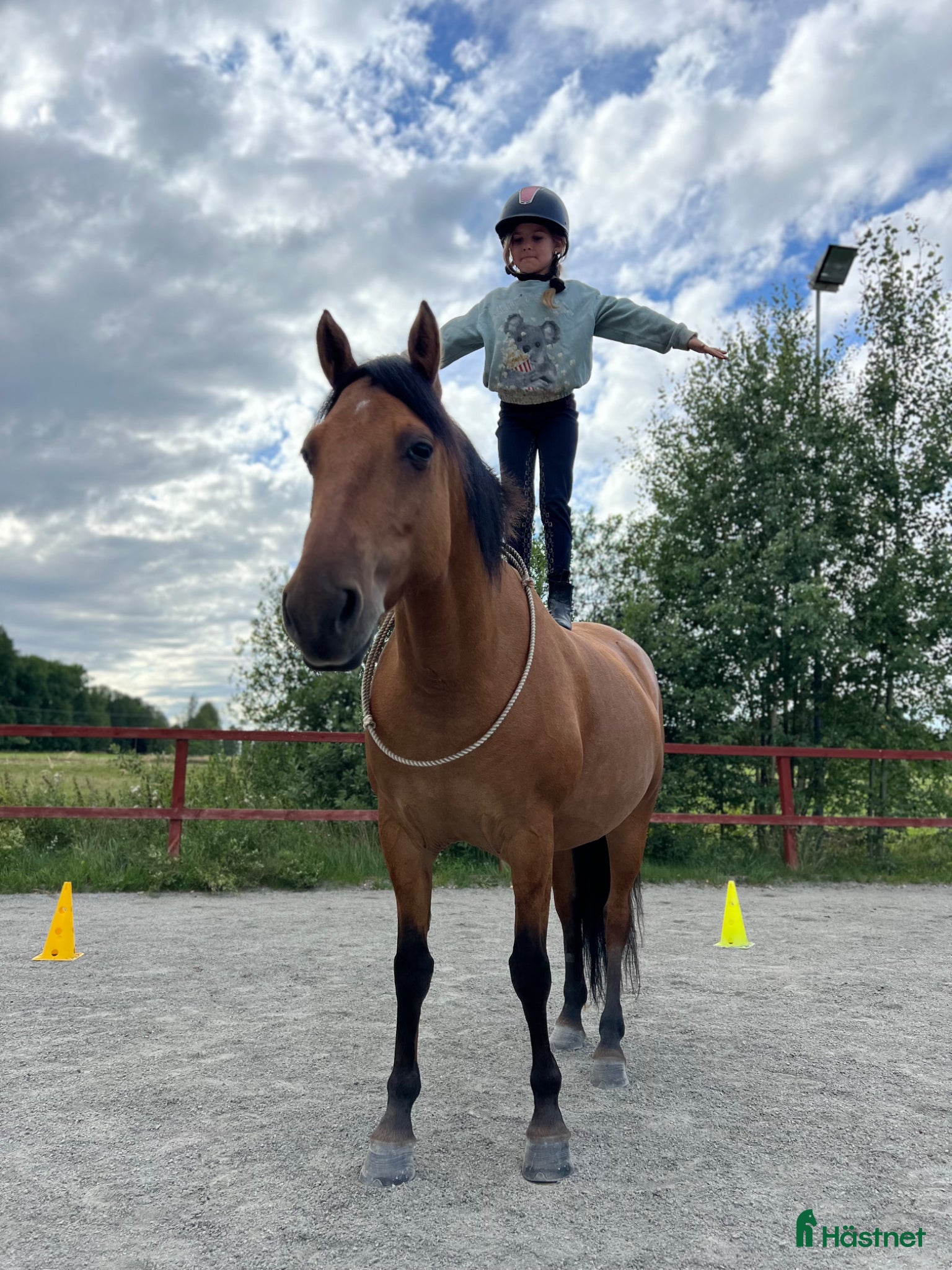  stallplats Boxplats för ponny. Gångavstånd från pendeltåg. - Annons 3