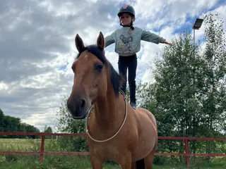stallplats Boxplats för ponny. Gångavstånd från pendeltåg. - Annons 3