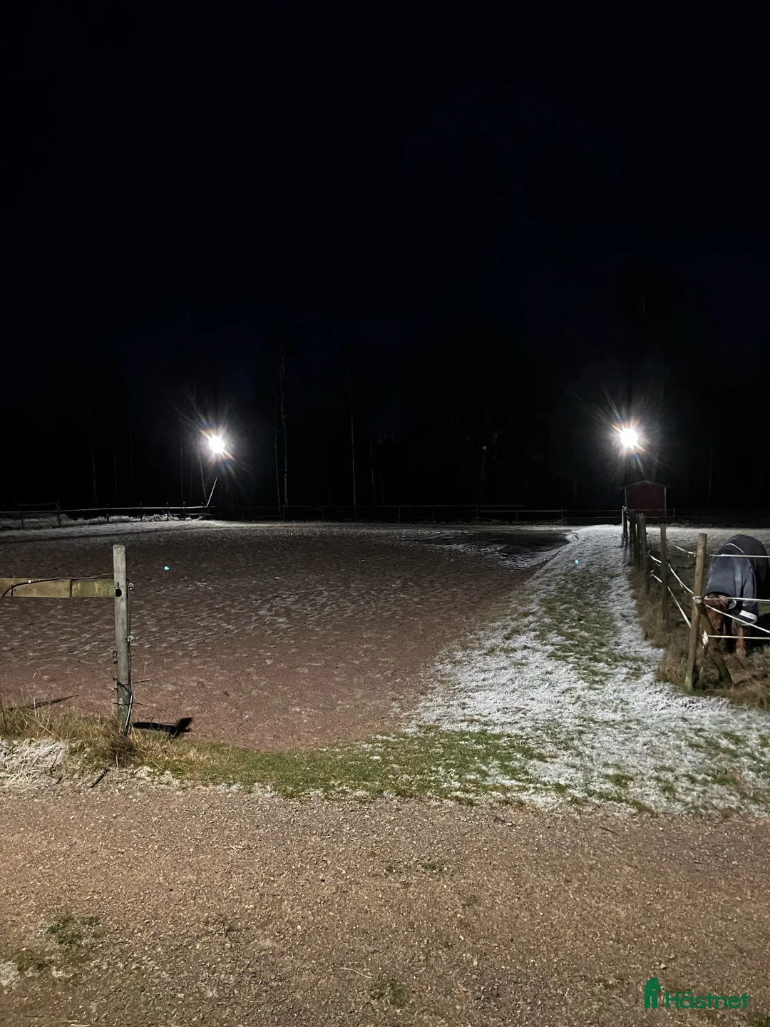  stallplats finnes: Lediga stallplatser på mysig gård nära Backamo i Ljungskile - Annons 9