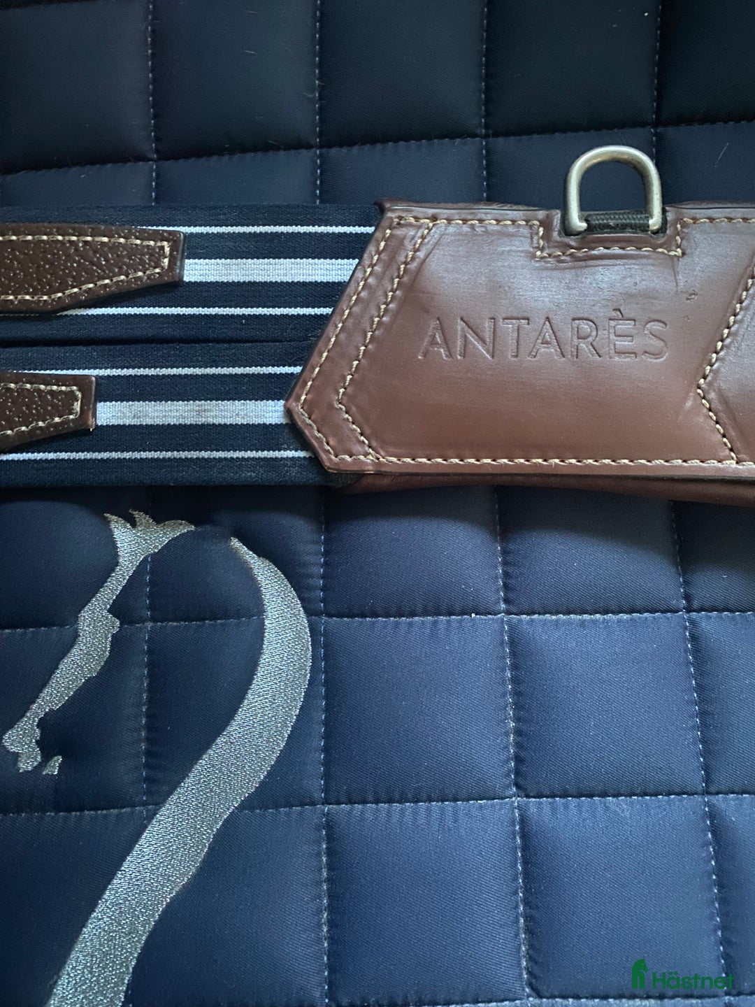 Övrig Hästutrustning hästutrustning till salu: Antarés anatomisk sadelgjord i Fårbo - Annons 1