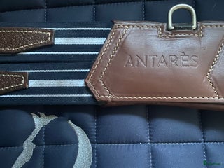 Övrig Hästutrustning hästutrustning till salu: Antarés anatomisk sadelgjord i Fårbo - Annons 2