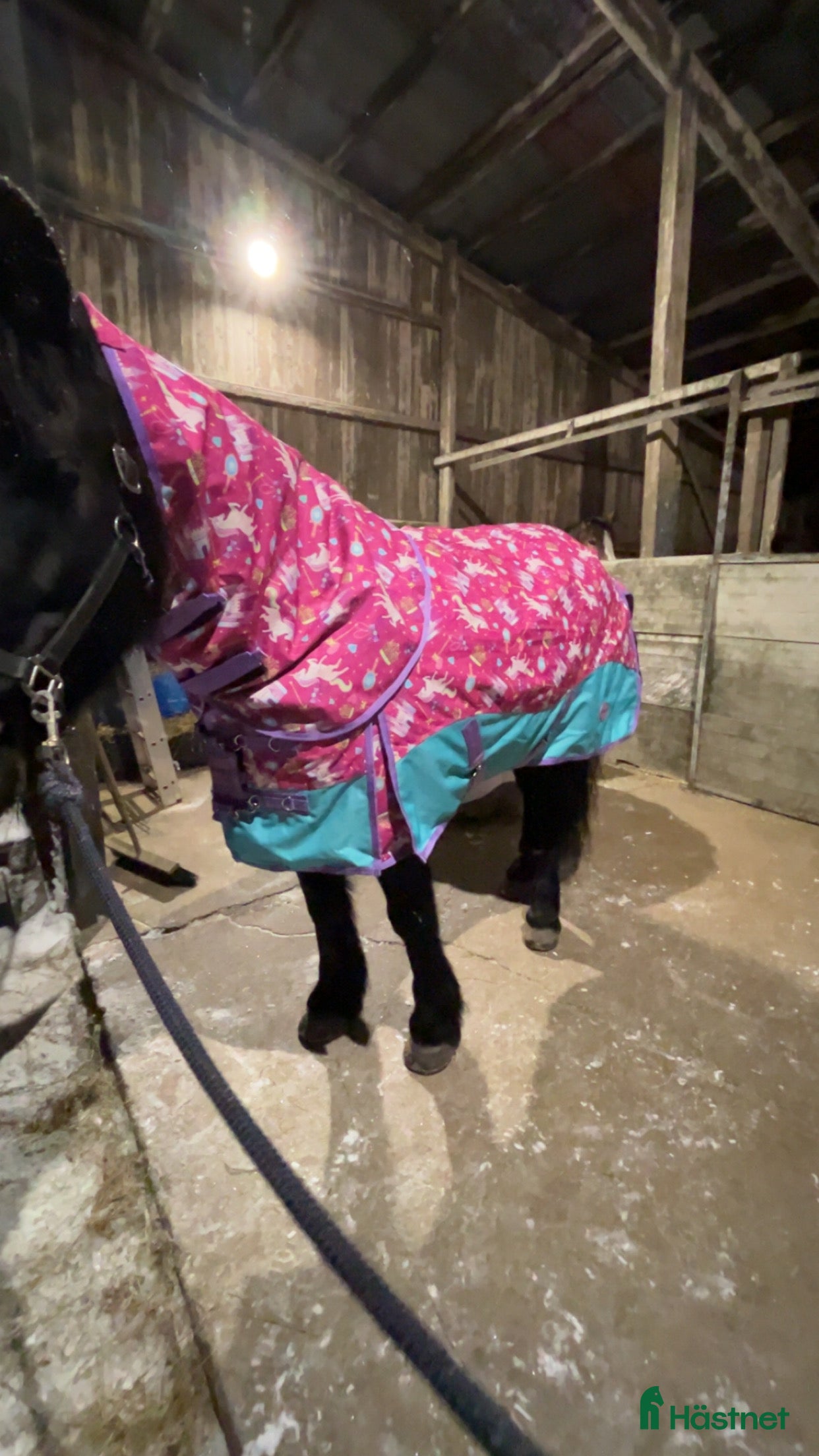 Täcken hästutrustning till salu: Nytt täcke  i Umeå - Annons 6