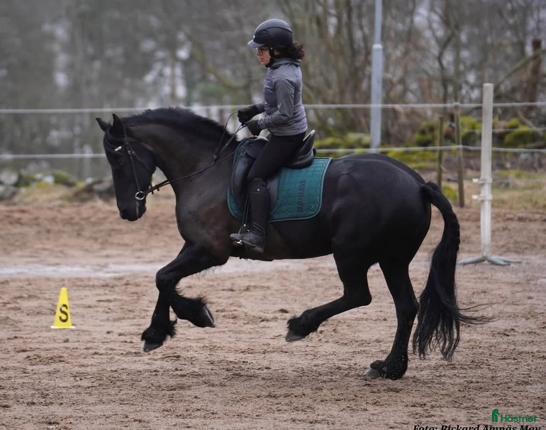 Galleribild {{count}}