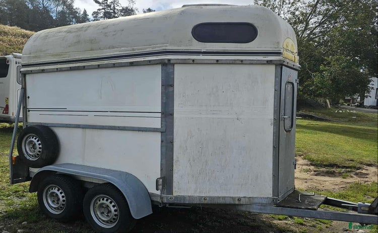 Hästtransporter  fordon & transport till salu i Sätila - Annons 7