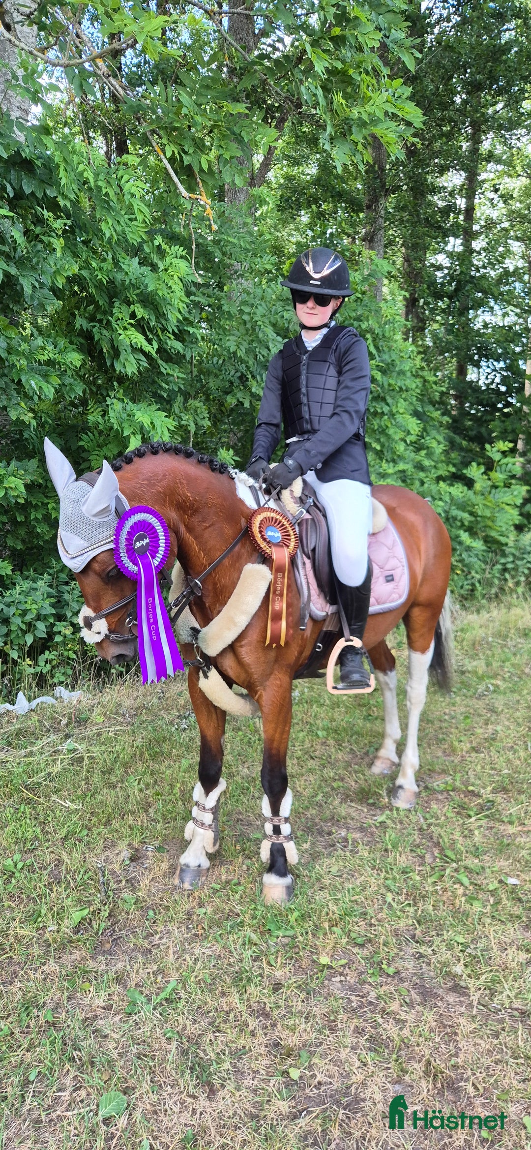 Hoppning hästar till salu: Hopponny med power i Skillingaryd - Annons 3