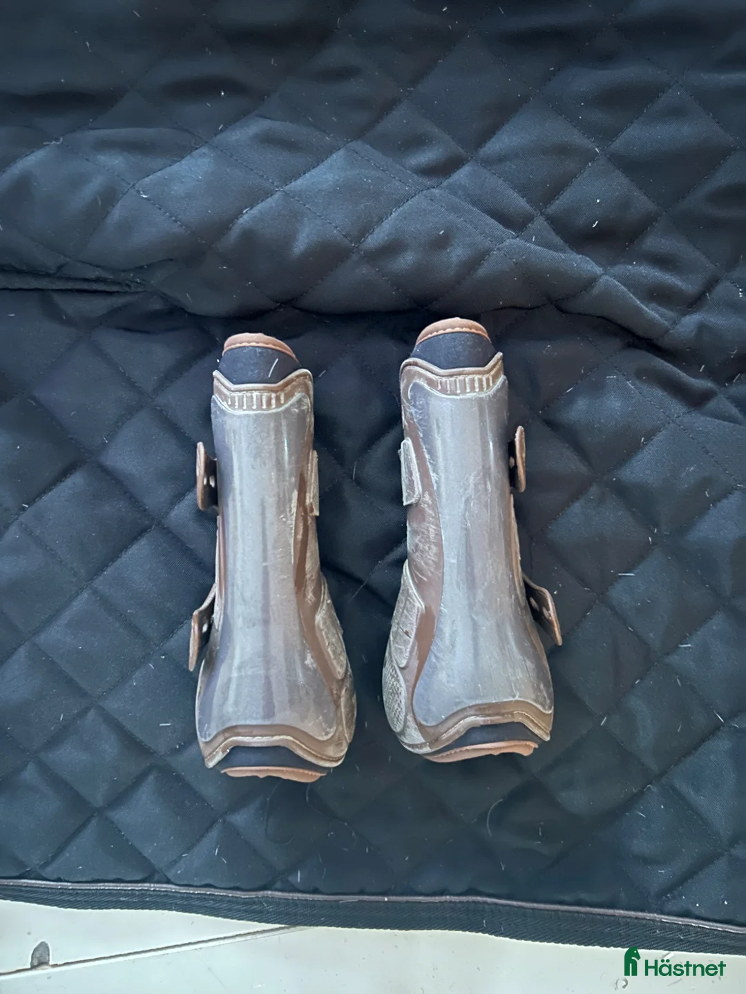 Benskydd hästutrustning till salu: Veredus Olympus Stl S - Annons 3