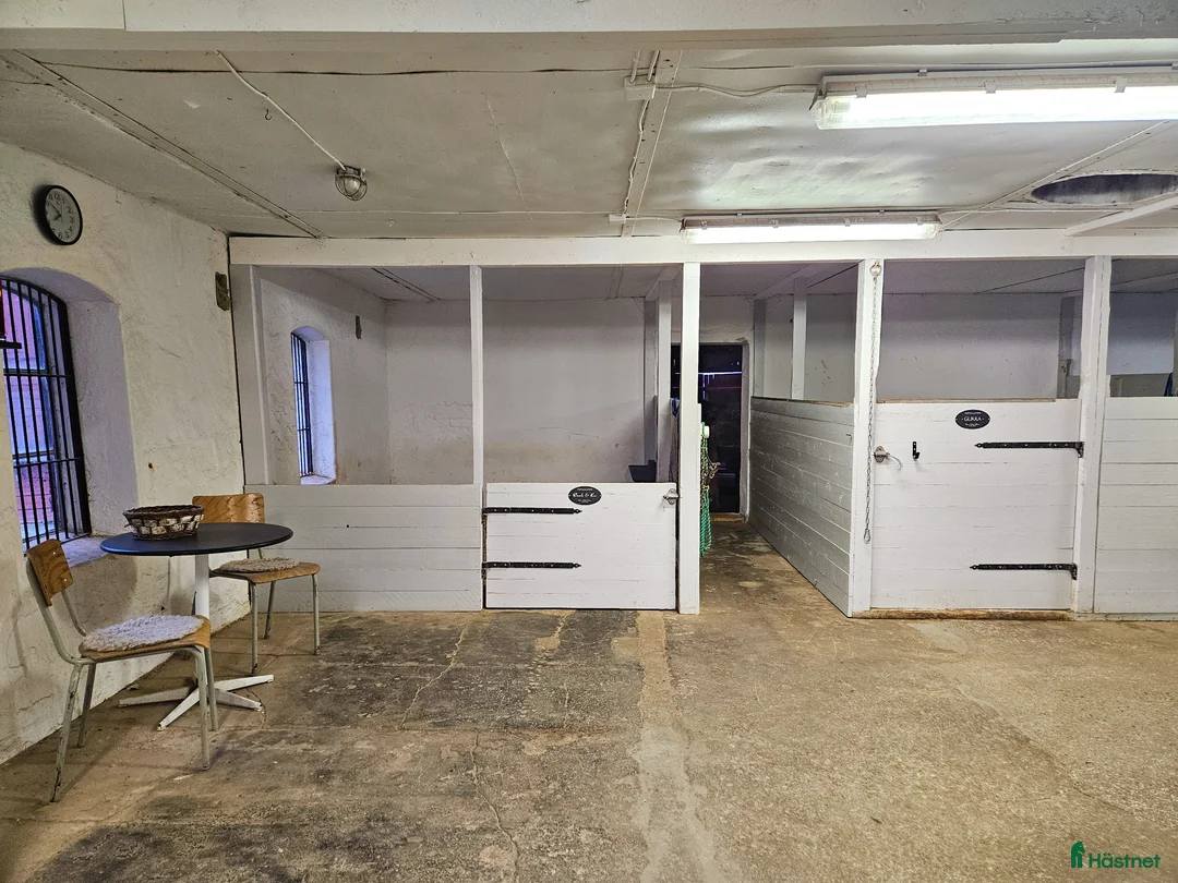  stallplats finnes: Lediga Stallplatser, Romme - Annons 2