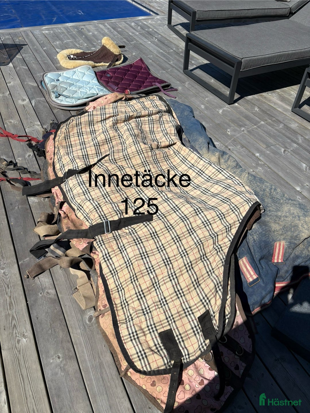 Övrig Hästutrustning hästutrustning till salu: Häst och ponny saker - Annons 2