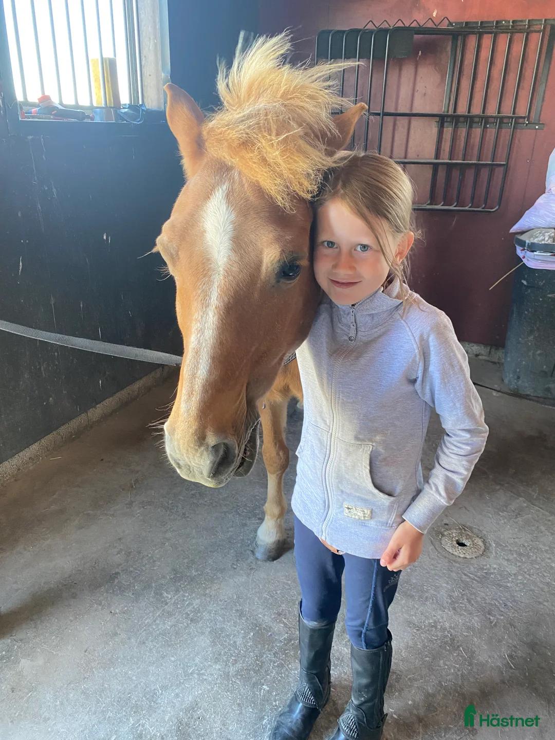  foderhäst finnes: Hel/halvfoderponny finnes i Lidköping - Annons 6