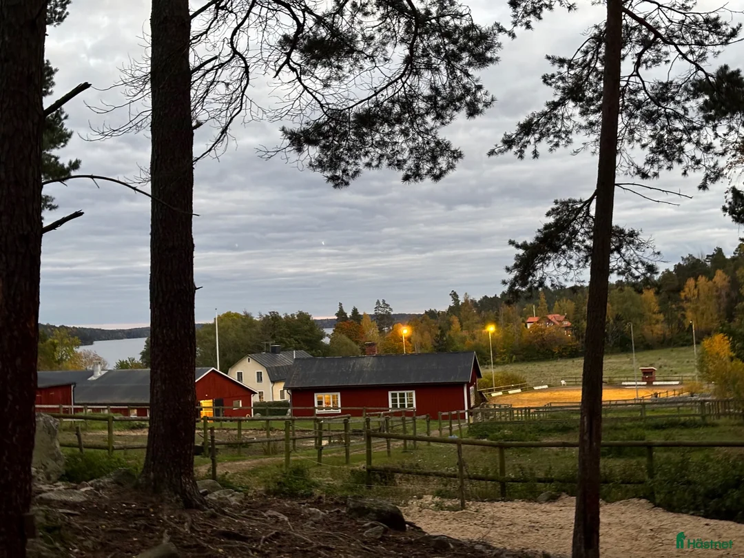  stallplats finnes: Sjövillans gård, stallet vid Mälarens strand! - Annons 1