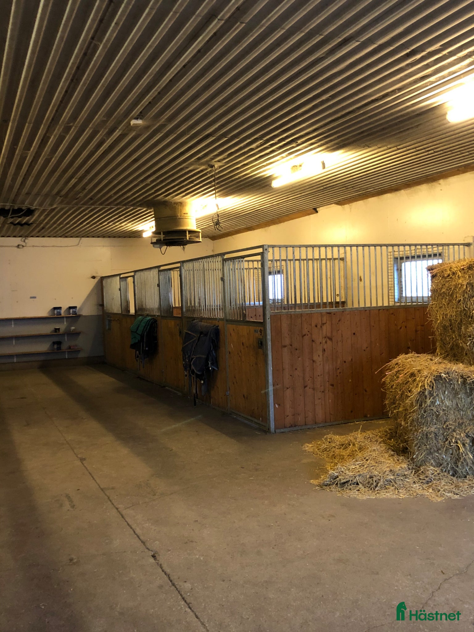  stallplats Stallplats finnes - Annons 12