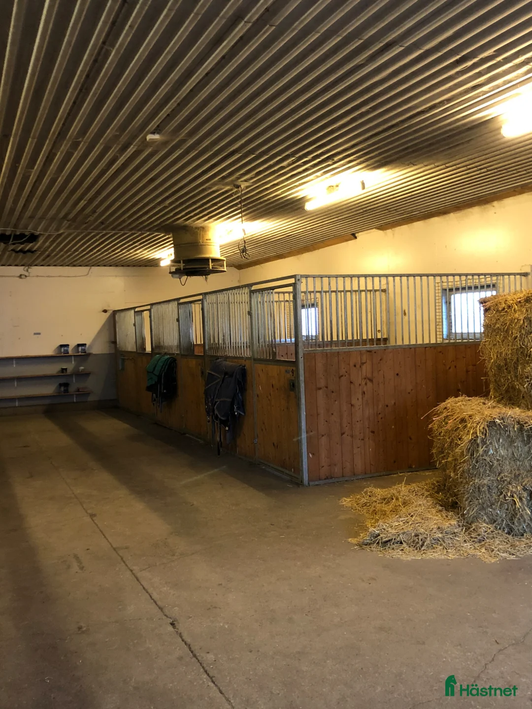  stallplats finnes: Stallplats finnes - Annons 1