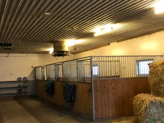 stallplats Stallplats finnes - Annons 12