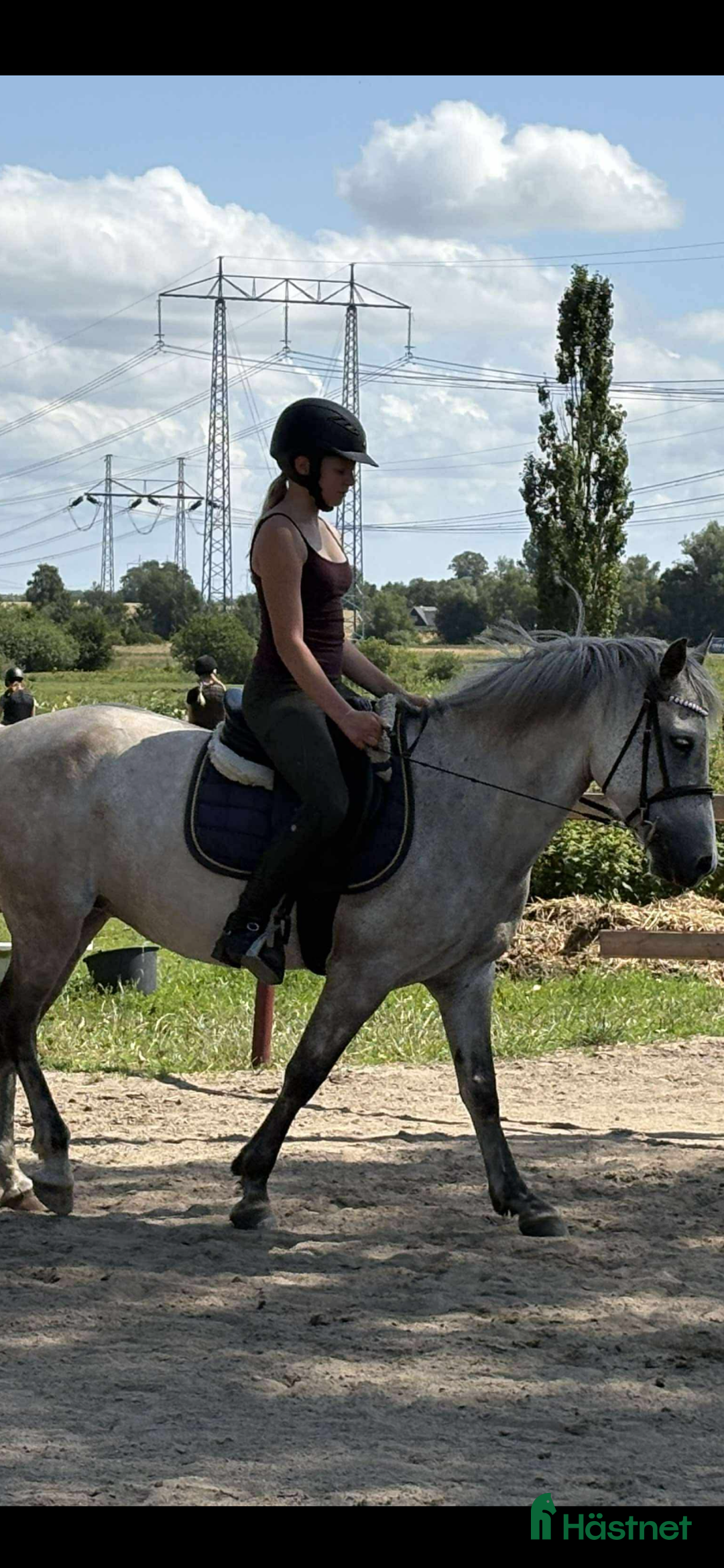 Allround hästar till salu: Fin B-ponny / tävlings ponny i Kävlinge - Annons 12