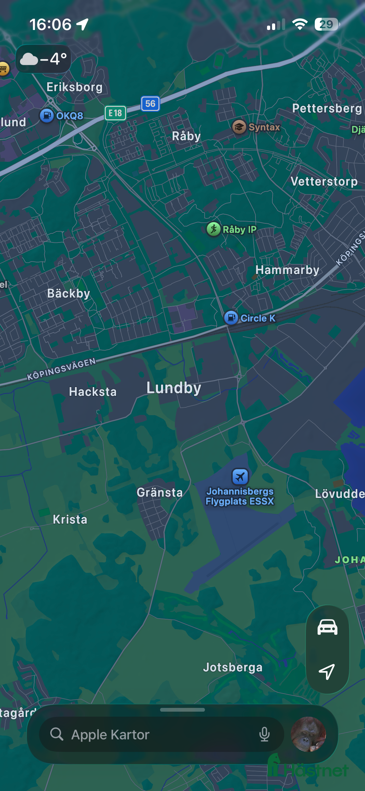  hästar Blåögd liten skönhet  i Västerås - Annons 7