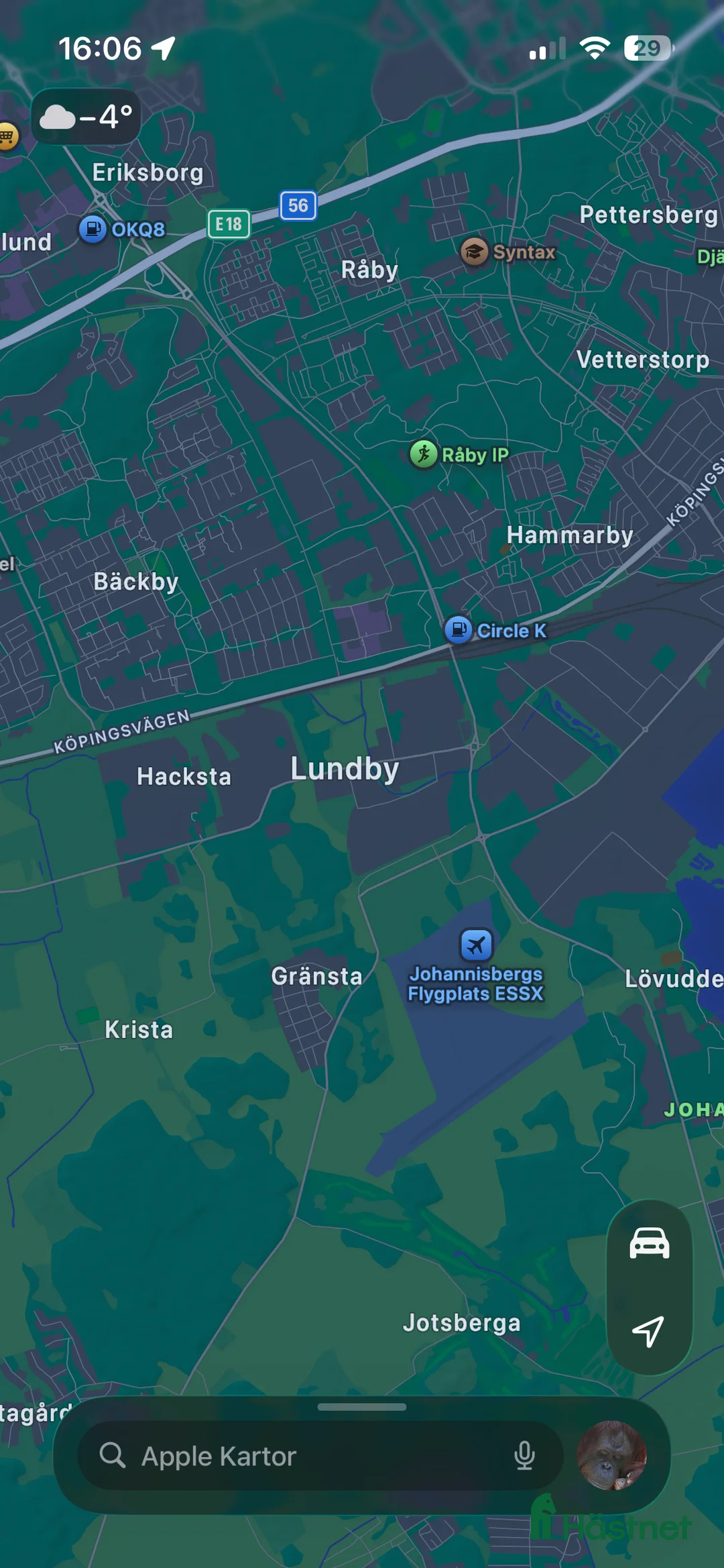 Allround hästar till salu: Blåögd liten skönhet  - Annons 6