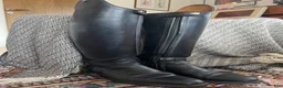 Ridstövlar ryttarutrustning till salu: DeNiro dressyrstövel - Annons 1