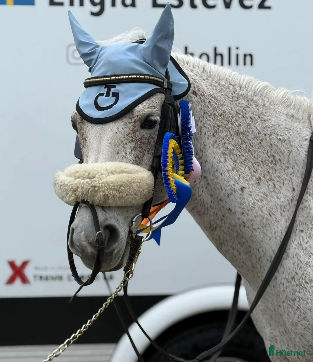 Allround hästar till salu: Fin C ponny!  i Tungelsta - Annons 5