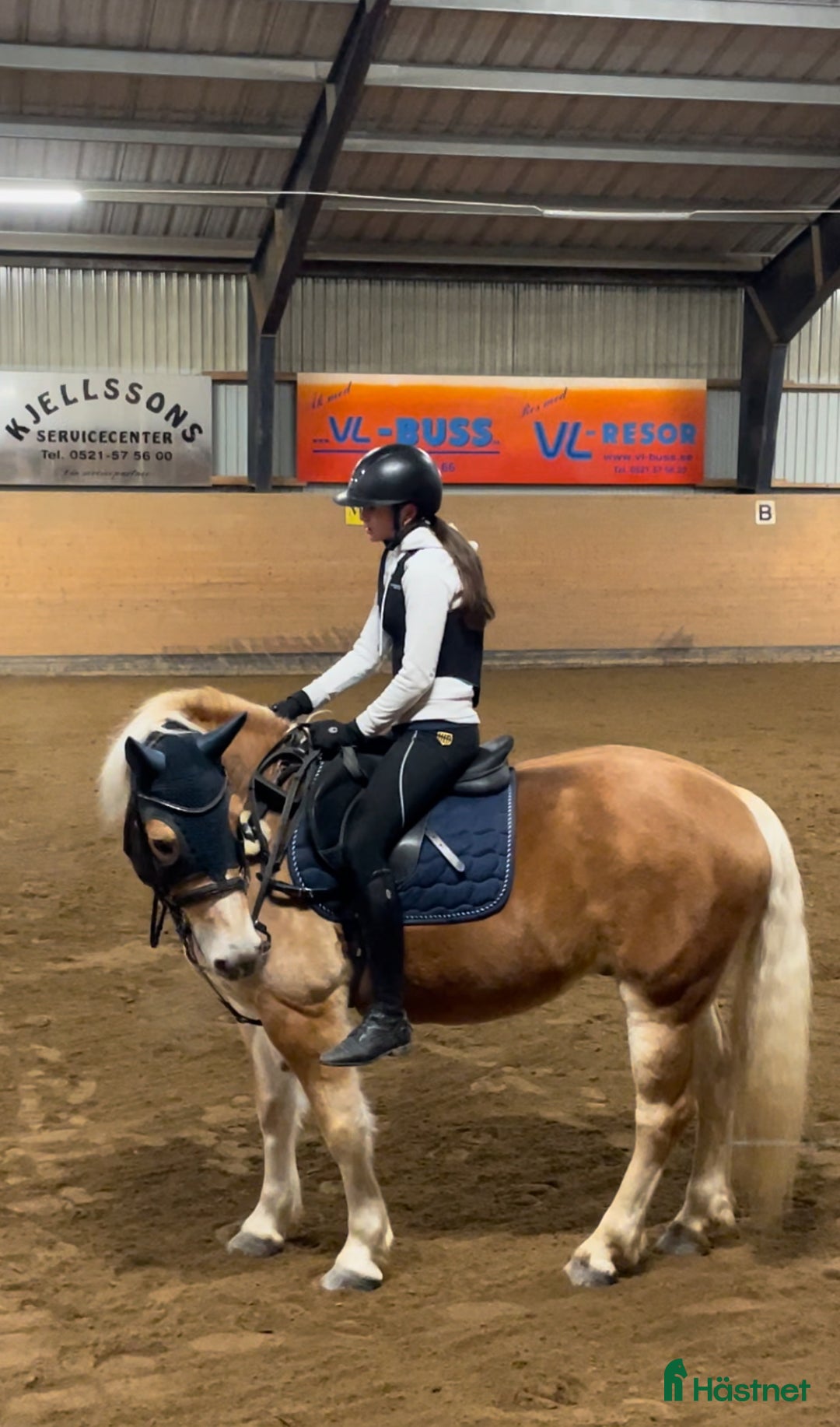 Allround hästar sökes: Låna häst till senare köp!🌟 i Vänersborg - Annons 2