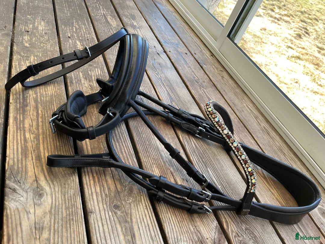 Träns hästutrustning till salu: Träns  - Annons 2